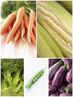 清新多种采摘的蔬菜摄影图