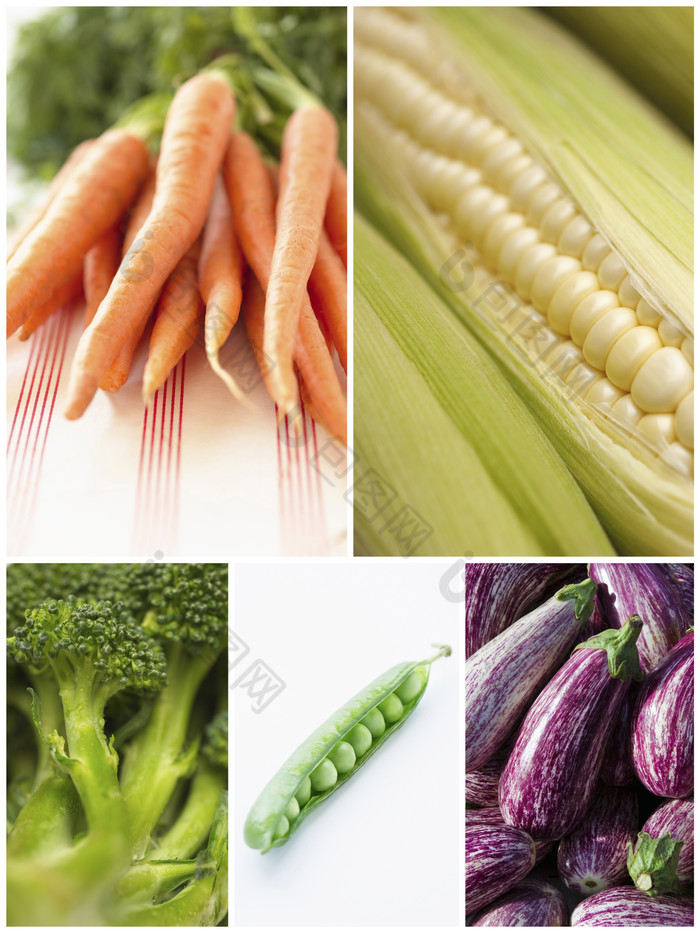 清新多种采摘的蔬菜摄影图