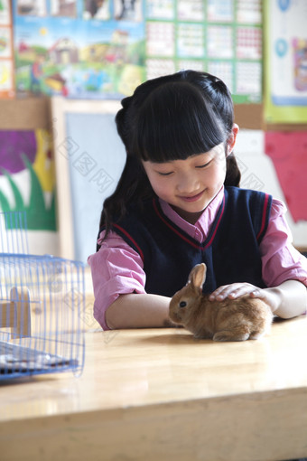 长刘海学生触摸兔子