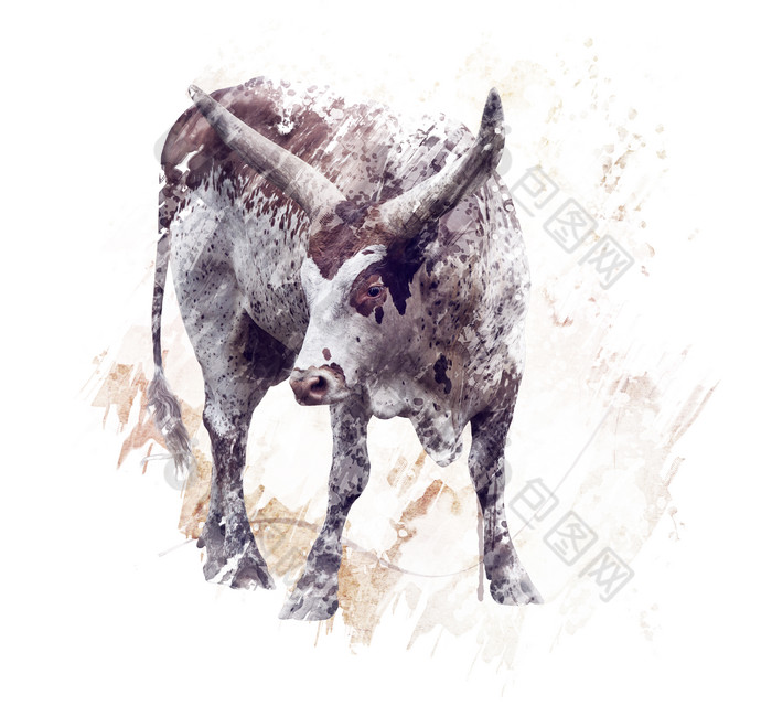 长角牛的水彩画图片