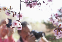 清新拍摄花朵的人摄影图