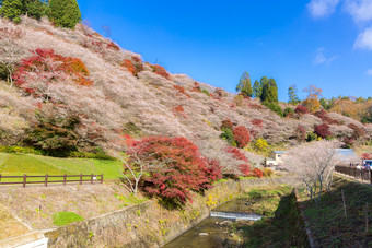 <strong>小清新</strong>大山美景摄影图