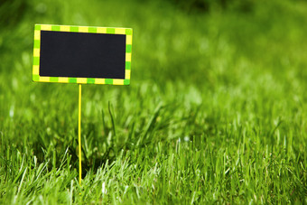 绿色调草地中的小牌子摄影图