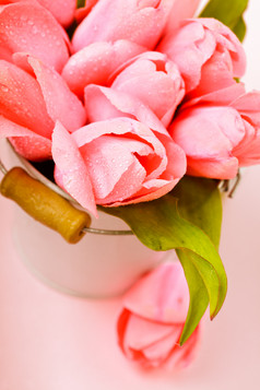 桶中粉嫩的鲜花摄影图
