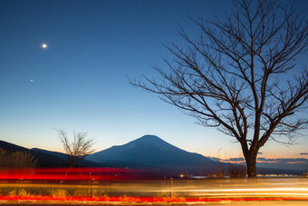 <strong>富士山</strong>和大树风景图