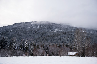 暗色调雪后美景摄影图