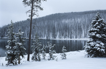深色调大雪景摄影图