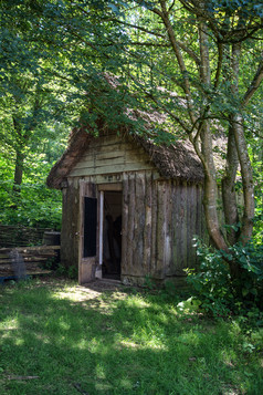 绿色调林中小屋摄影图