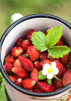 清新杯子中的草莓摄影图