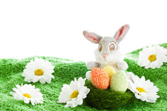 小兔子和花朵摄影图