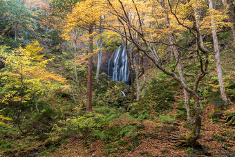 秋季树林中的瀑布摄影图