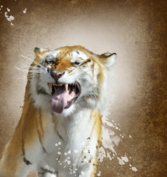 大自然嘶吼的老虎