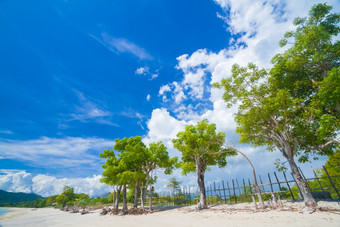 巴厘岛<strong>沙滩</strong>海边蓝天白云树木旅行度假风景