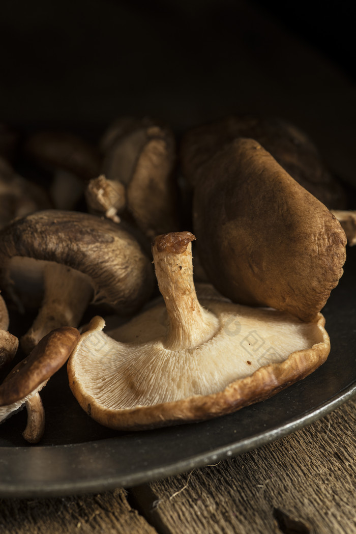 暗色调野生的蘑菇摄影图