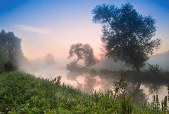 起雾的大自然树木河水
