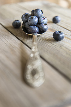 暗色调小蓝莓摄影图