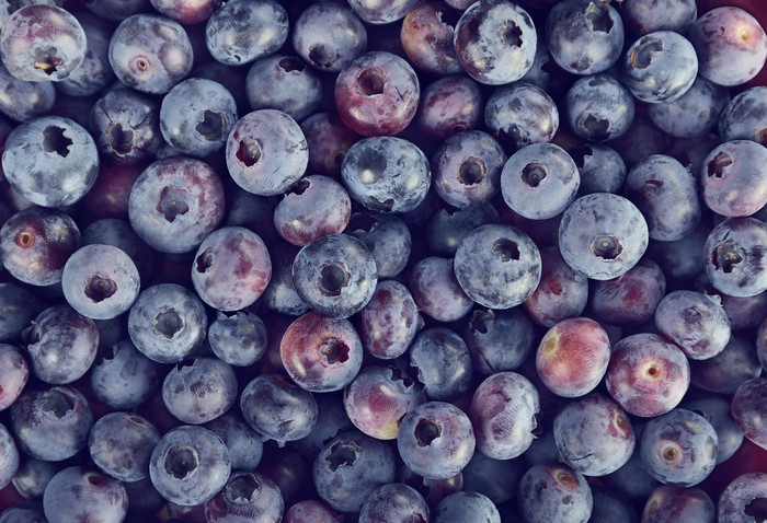 蓝色水果蓝莓摄影图