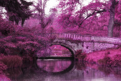 粉色抽象山水景色摄影图