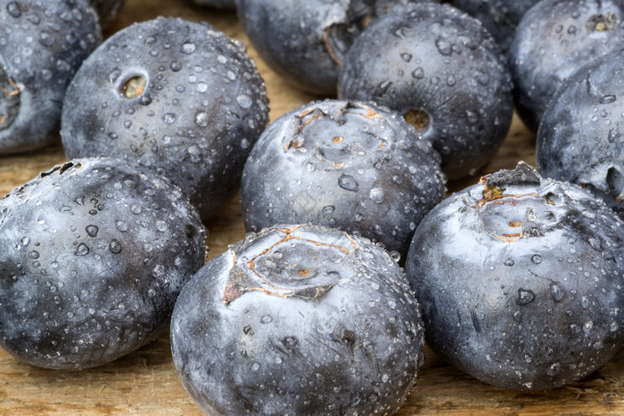 水果食物蓝莓摄影图