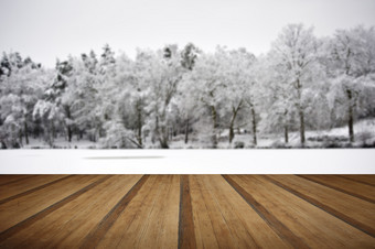 灰色调冬天的树摄影图