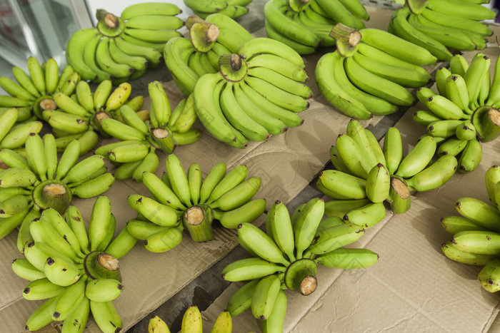 绿色调未成熟的香蕉摄影图