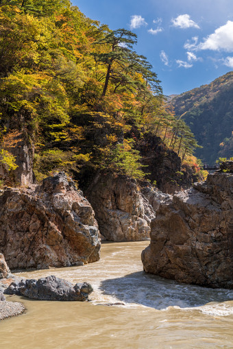 山峰树木河流峡谷