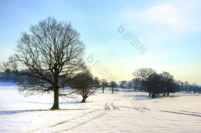 蓝色冬天的野外摄影图