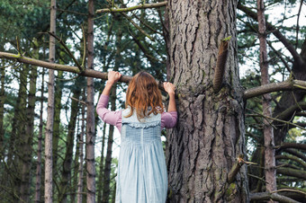 暗色调公园<strong>爬树</strong>的女孩摄影图