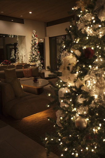 暗色调室内的圣诞树摄影图
