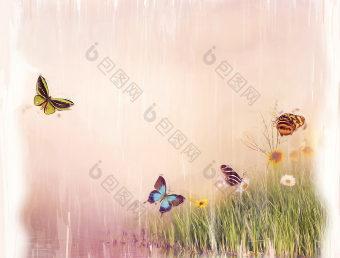 小草小花上飞舞的蝴蝶