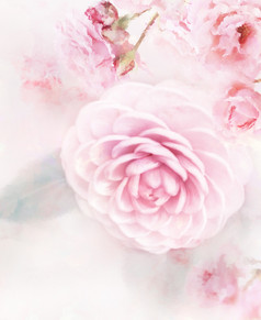 水彩粉色花朵花瓣