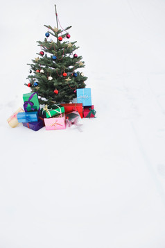 简约一个小圣诞树摄影图