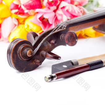 木质乐器小提琴乐器