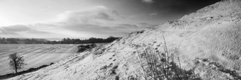 黑白风格雪后山坡摄影图