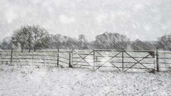 下雪雪天围栏摄影图