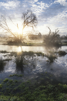 深色调漂亮的湿地摄影图