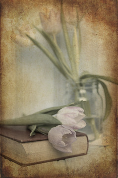 复古风书本上的水仙花摄影图