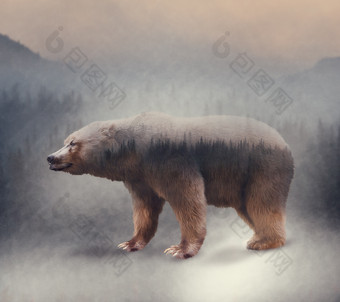 森林拼成的熊摄影图
