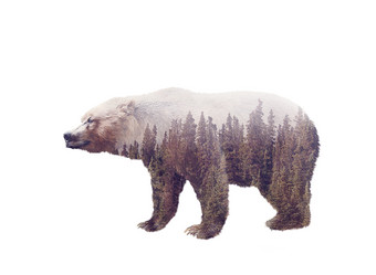 山林拼成的熊摄影图