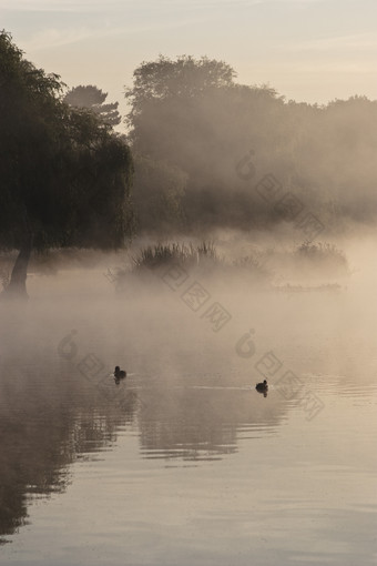 雾气弥漫的湖水摄影图