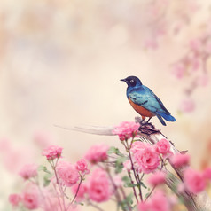 站在粉色花枝上的小鸟