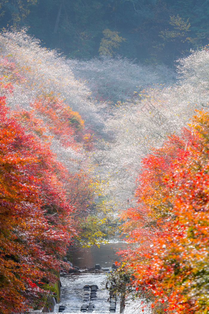 秋季的山间自然景色