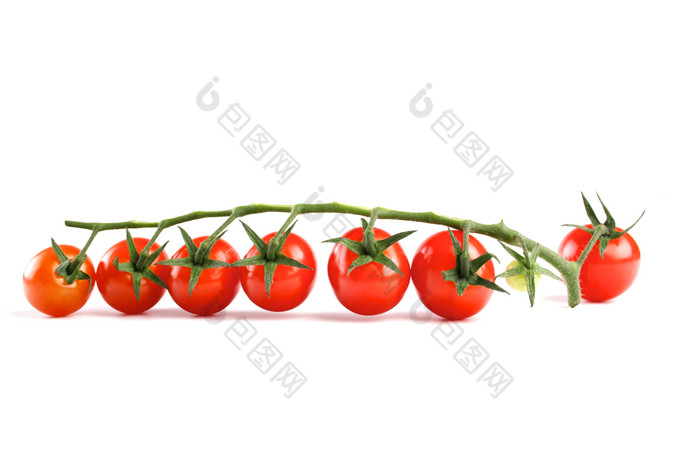 枝条上的西红柿摄影图r