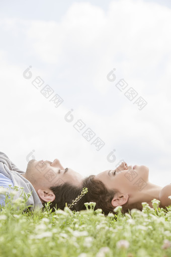 浅色调草地上的亲密情人摄影图