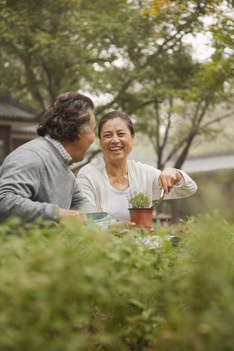 种植盆栽的老年夫妻