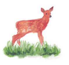 简约手绘的小鹿摄影图