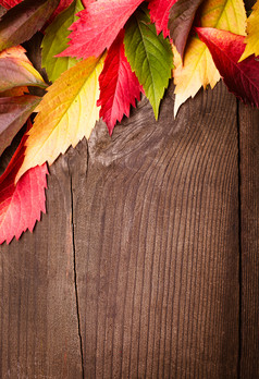 木板上的秋天树叶