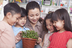 看盆栽的幼儿园小朋友