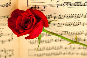 音乐书上的红色玫瑰