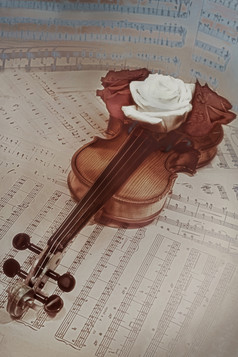 简约桌上的小提琴摄影图